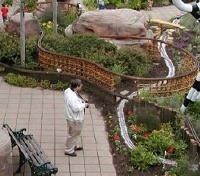 Click for bigger photo.